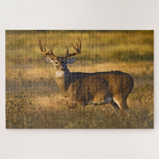 Witstaarster | South Texas Legpuzzel (Horizontaal)