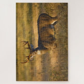 Witstaarster | South Texas Legpuzzel (Verticaal)