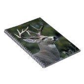 Witstaarster | Staat Washington Notitieboek (Rechterzijde)