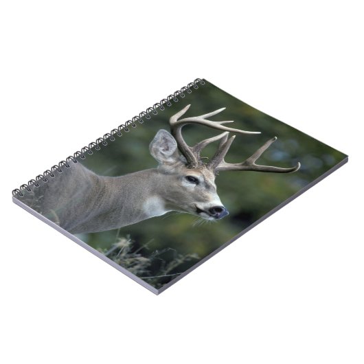 Witstaarster | Staat Washington Notitieboek (Linkerzijde)