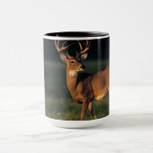 Witstaarster | State Park Choke Canyon, TX Mok (Midden)