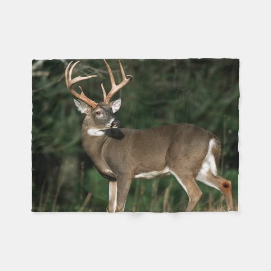 Witstaarster | Tennessee Fleece Deken (Voorkant (Horizontaal))