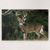 Witstaarster | Tennessee Legpuzzel (Horizontaal)