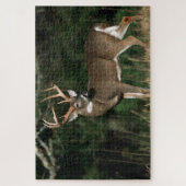 Witstaarster | Tennessee Legpuzzel (Verticaal)