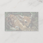 Witstaarster Visitekaartje (Achterkant)