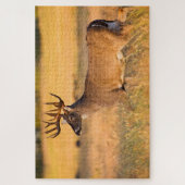 Witstaarster | Zuid-TX Legpuzzel (Verticaal)