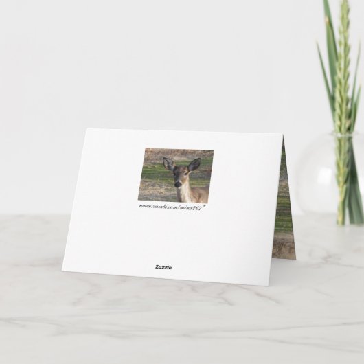 Witstaart hert *blank* kaart (Achterkant)