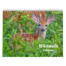 Witstaart Herten Kalender