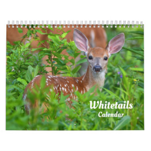 Witstaart Herten Kalender