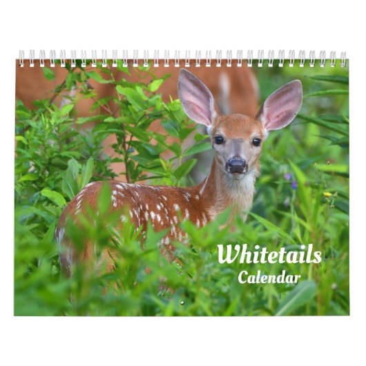 Witstaart Herten Kalender (Hoes)