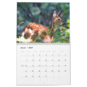 Witstaart Herten Kalender (Mar 2027)