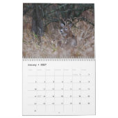 Witstaart Herten Kalender (Jan 2027)