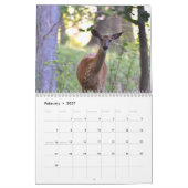 Witstaart Herten Kalender (Feb 2027)