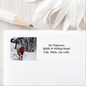 Witstaart Herten Retouradres Labels (Insitu)
