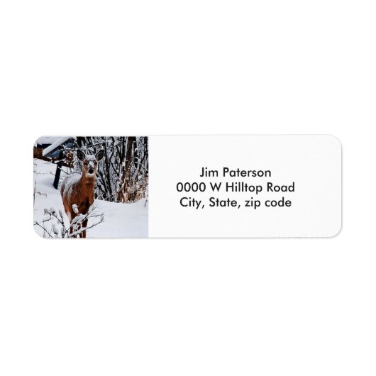 Witstaart Herten Retouradres Labels (Voorkant)
