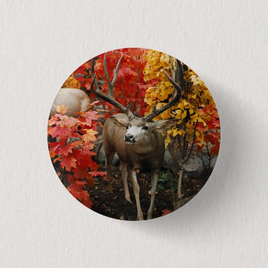 Witstaart in de herfst ronde button 3,2 cm (Voorkant)