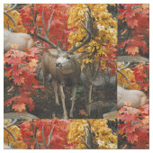 Witstaart in de herfst stof (Close Up)