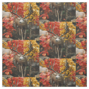 Witstaart in de herfst stof