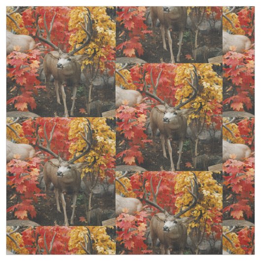 Witstaart in de herfst stof (Swatch)