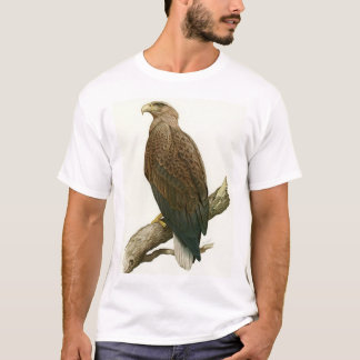 Witstaartadelaar, volwassen t-shirt