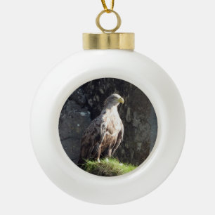 Witstaartarend Rotsachtige Kust Natuurleven Kerstm Keramische Bal Ornament