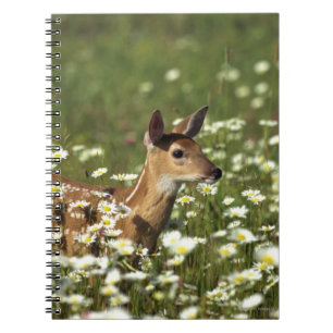 Witstaartbier in Flowers Notitieboek