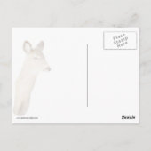 Witstaartbier (Sluiten) Briefkaart (Achterkant)