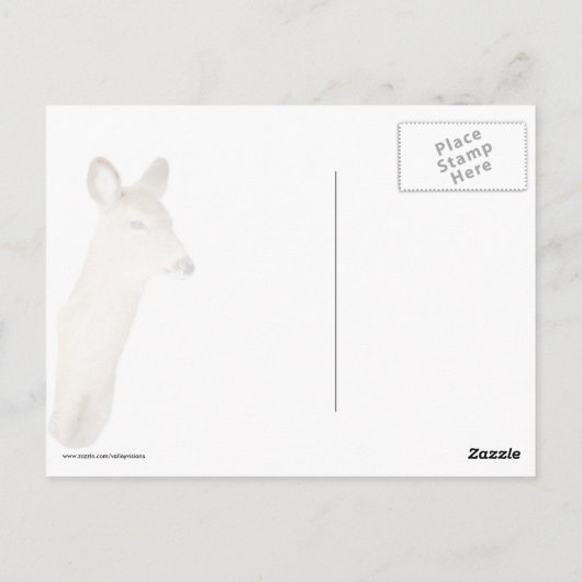 Witstaartbier (Sluiten) Briefkaart (Achterkant)