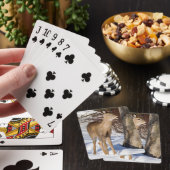 Witstaartbier (Sluiten) Pokerkaarten (Insitu)