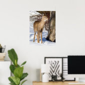 Witstaartbier (Sluiten) Poster (Thuiskantoor)