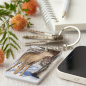 Witstaartbier (Sluiten) Sleutelhanger (Voorkant Rechts)