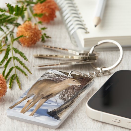Witstaartbier (Sluiten) Sleutelhanger (Voorkant Rechts)