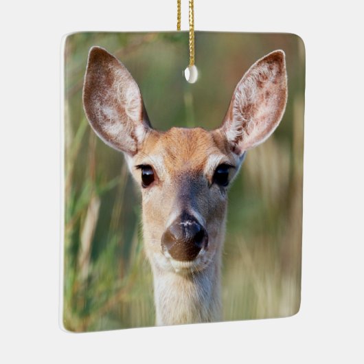 Witstaartbruin Deer Doe Keramisch Ornament (Rechts)