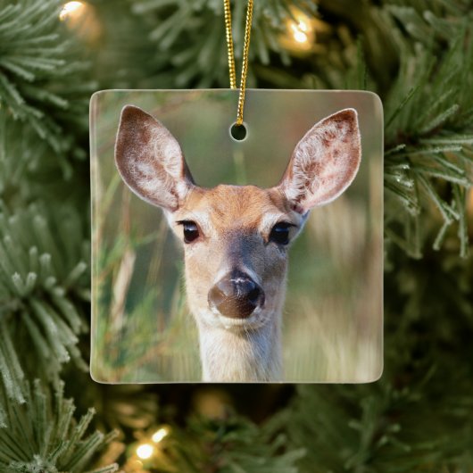 Witstaartbruin Deer Doe Keramisch Ornament (Boom)