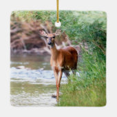 Witstaartbruin Deer Doe Keramisch Ornament (Achterkant)