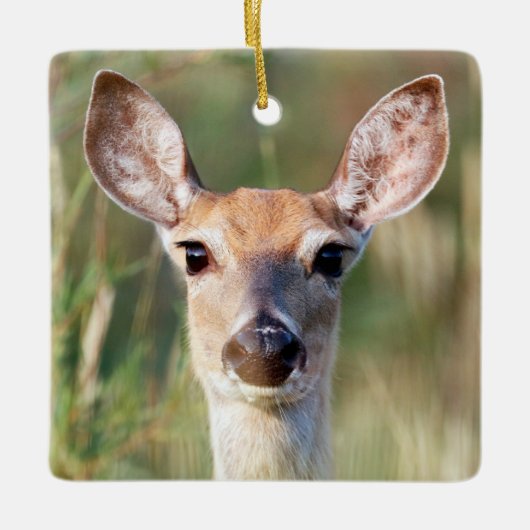 Witstaartbruin Deer Doe Keramisch Ornament (Voorkant)