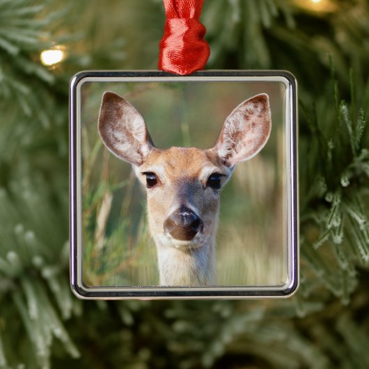 Witstaartbruin Deer Doe Metalen Ornament (Boom)