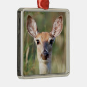 Witstaartbruin Deer Doe Metalen Ornament (Rechts)