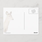 Witstaartbruin die naar u kijkt (close-up) briefkaart (Achterkant)
