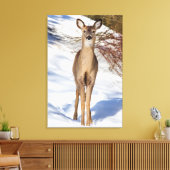 Witstaartbruin die naar u kijkt (close-up) canvas afdruk (Insitu (Woonkamer))
