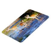 Witstaartbuck Deer Magneet (Linkerzijde)
