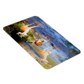 Witstaartbuck Deer Magneet (Rechterzijde)