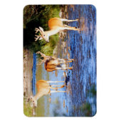 Witstaartbuck Deer Magneet (Verticaal)