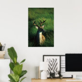 Witstaartbuck Poster (Thuiskantoor)