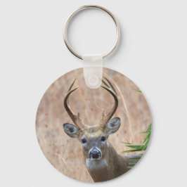 Witstaartbuck Sleutelhanger
