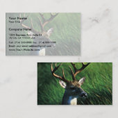 Witstaartbuck Visitekaartje (Voorkant / Achterkant)