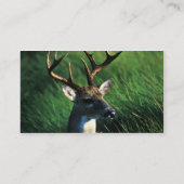 Witstaartbuck Visitekaartje (Achterkant)
