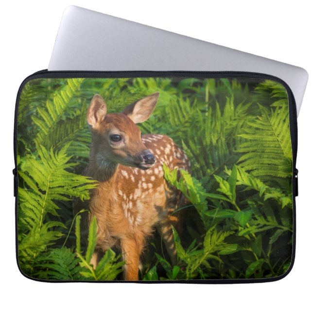 Witstaartdeer Fawn | Minnesota Laptop Sleeve (Voorkant)
