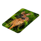 Witstaartdeer Fawn | Minnesota Magneet (Linkerzijde)