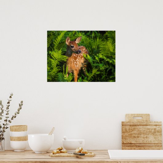 Witstaartdeer Fawn | Minnesota Poster (Keuken)